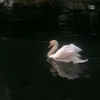 zaenb222