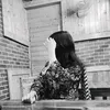 ly_a715