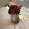 .oliviaisafairy