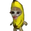 tcsikibidi011