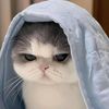 raisya_0023