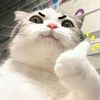 pradnya_nyaa