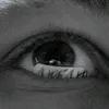 fafysi_2025