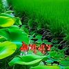 user9249960286832
