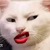 _chuba.tuxuyen