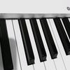 shelrec.lay