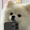 jkjltuv