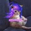 zatabot2012