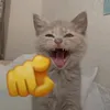 meowww05.21