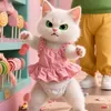 AI Cat Tales