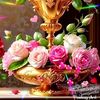 user51493777186201