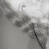 forevermore543