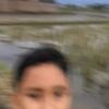 corvusorax0