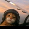 rfasya_14