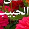 iona.hassan