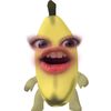 claaasssivkece