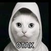 kristall_pxoneks1