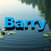 hamadoubarry861