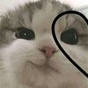 mollyy389