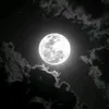 mohamed.nady3719