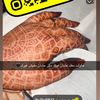 user722304665268