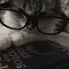 clarapicks