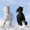 mohamed.salama.mm