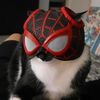 ers_parker