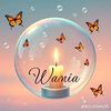 waniii500