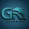 dolphins_205