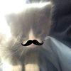 pinz_alpinaw