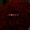 ifrah.mohamed164