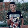 user4511374458813