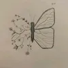 bonnii_11