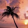 user._8167918