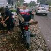 ziez.742
