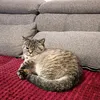 prinzessin7777