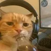igharcrfmqb