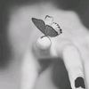 arrain_302