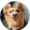 funnyvrvideo