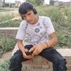 user3774886759181