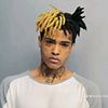 xxx.zzyydd