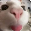 luci_snoopy1
