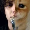 jules_real_fan