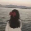 ho_r4_15