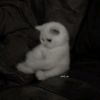 frieren0456