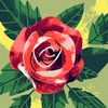 user5687411999074
