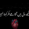 tanhaipasand711
