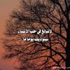 user1020274569538