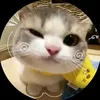 girl_dump23